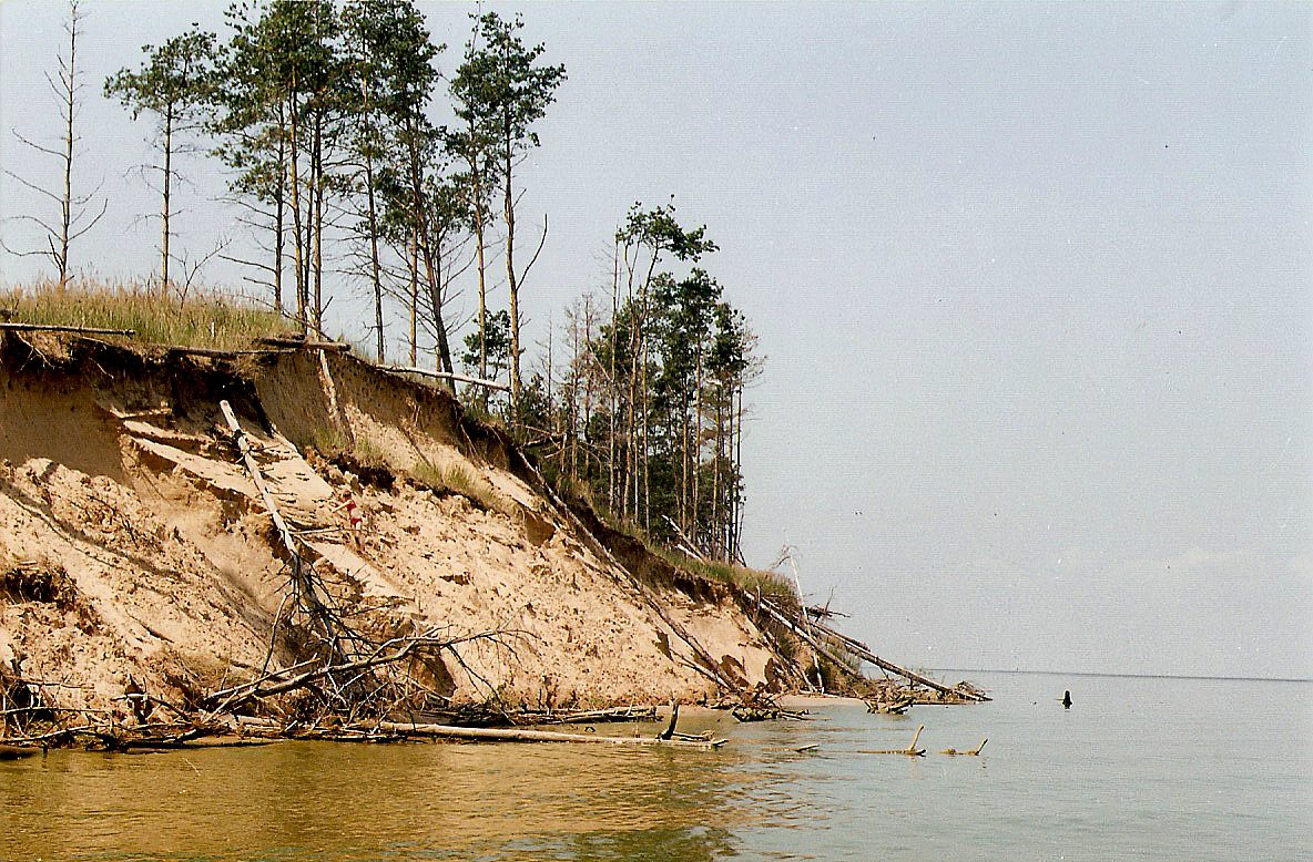 Наша природа - Худяки