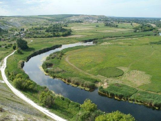 Осинове з інтернету - Осиново
