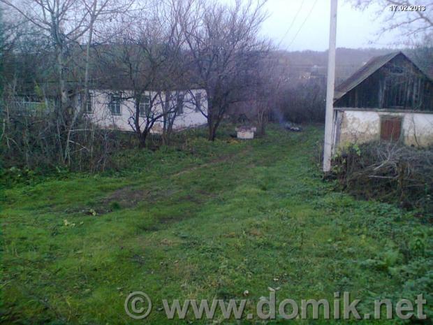 Шандра з інтернету - Шандра