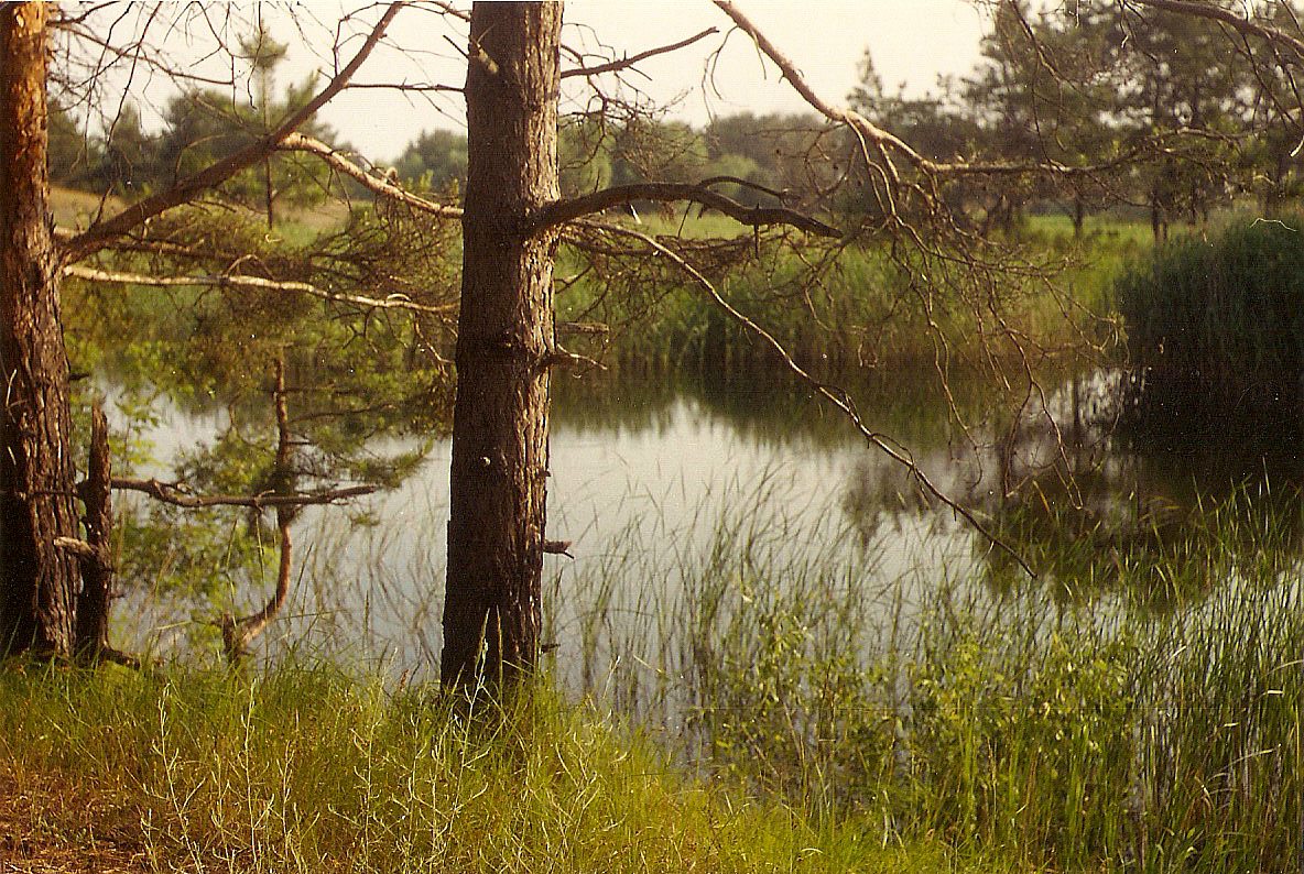 Наша природа - Худяки