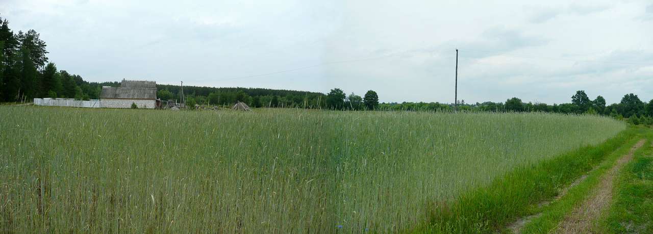 Історія і сучасність - Карвинівка