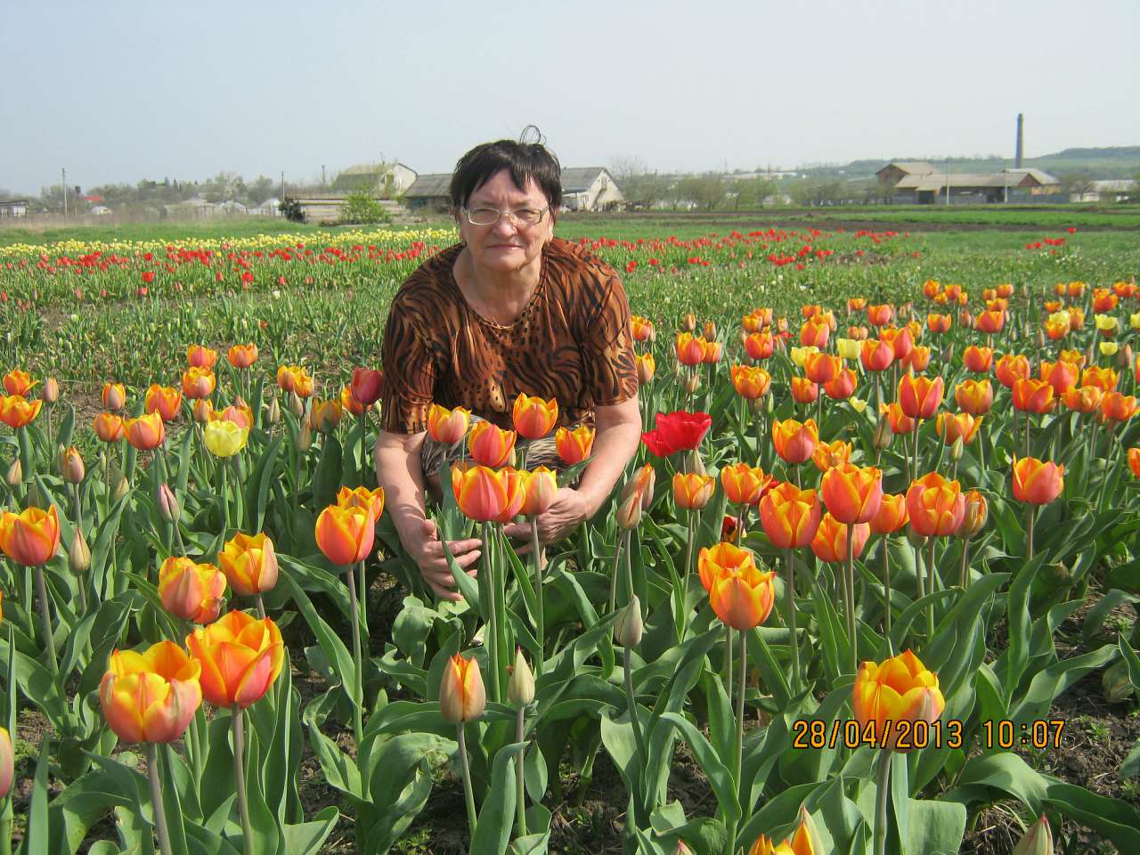 Шпола-географічний центр України - Шпола