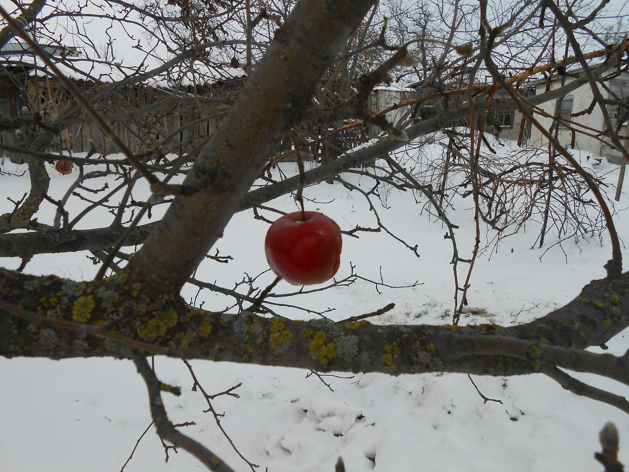 різне - Розтоки