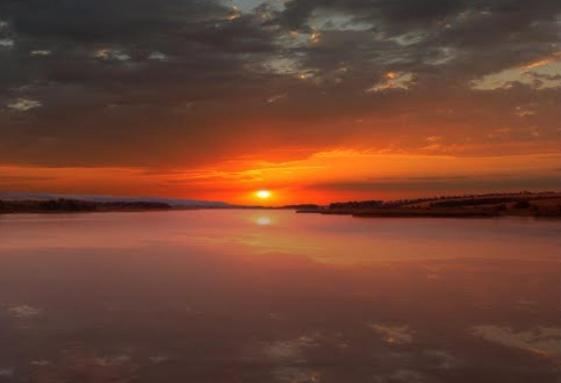 Гольма з інтернету - Гольма