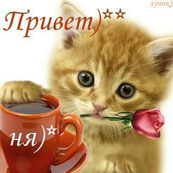 фото - Красная Балка