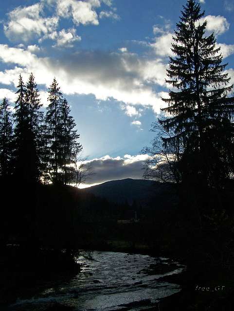 Ч. Тиса з  http://photo.online. - Черная Тиса