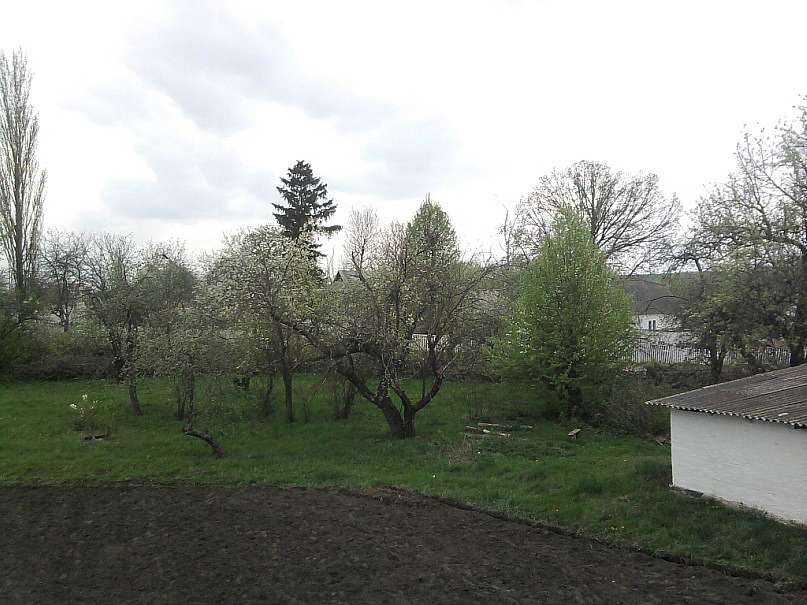 с Новоселиця. - Новоселиця