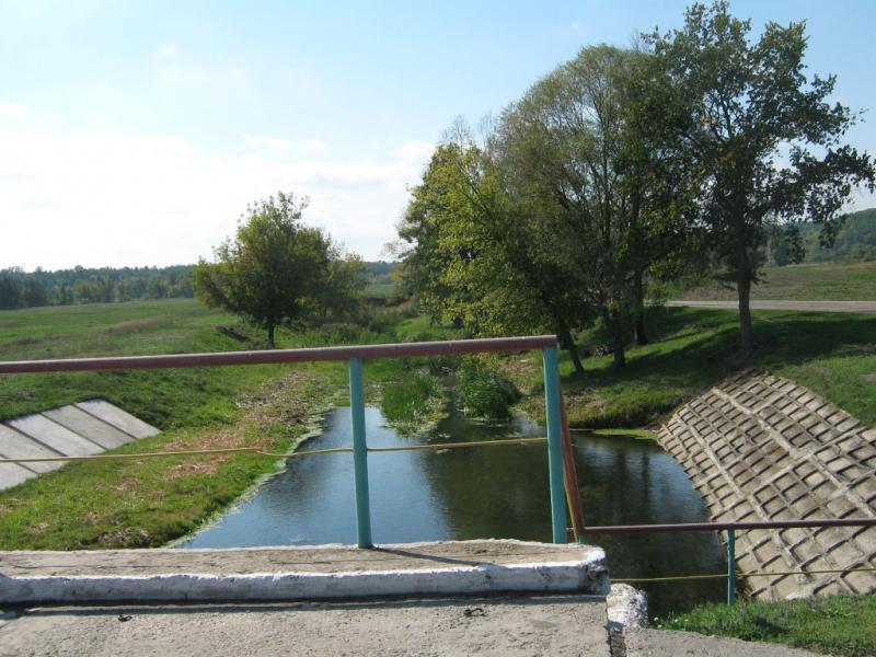 Мерло з інтернету - Мерло