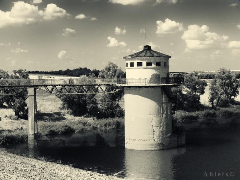 Саксагань з інтернету - Саксагань