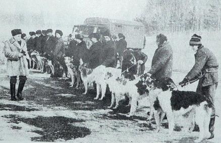 Липецьке з інтернету - Липецкое