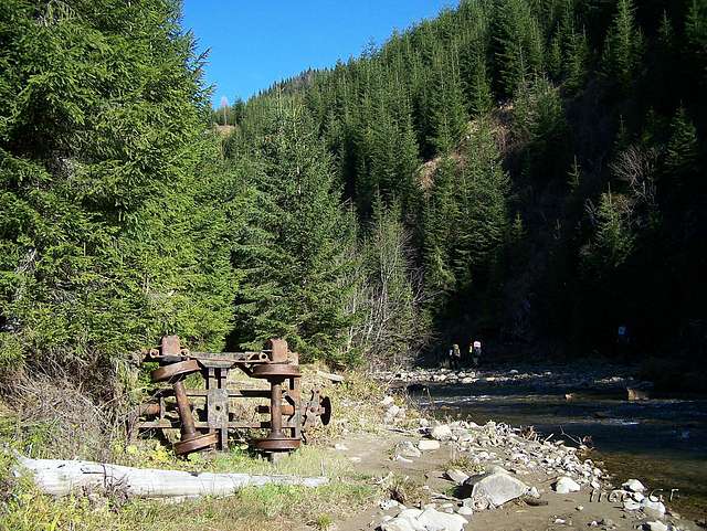 Ч. Тиса з  http://photo.online. - Черная Тиса