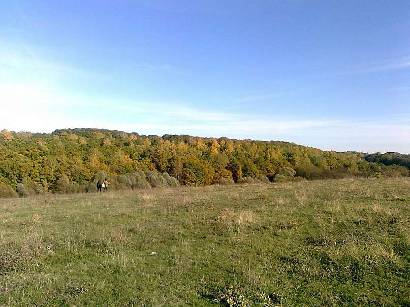 Яхноград - Яхники