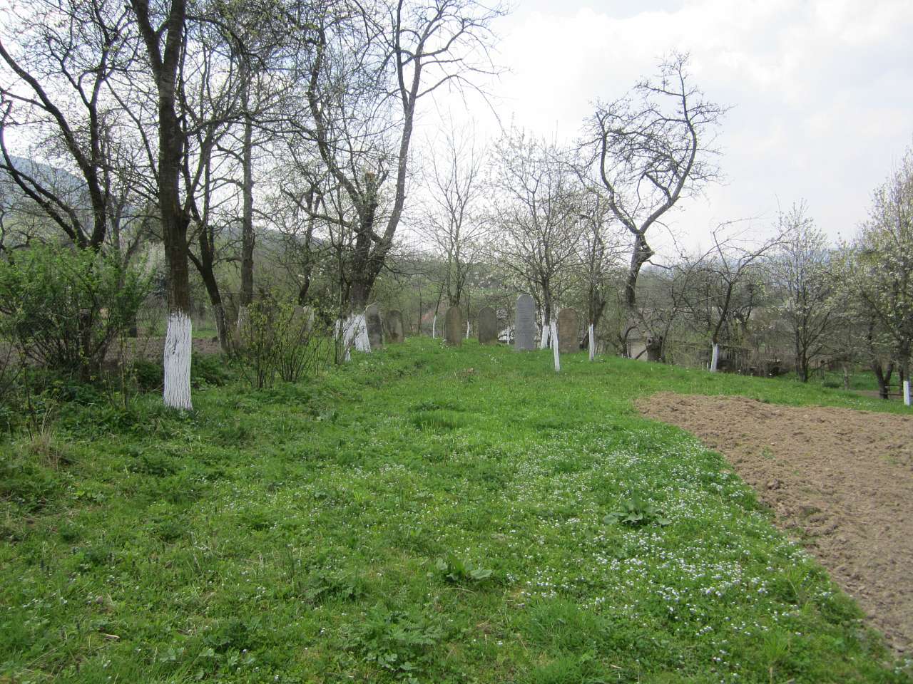 сімер - Сімер