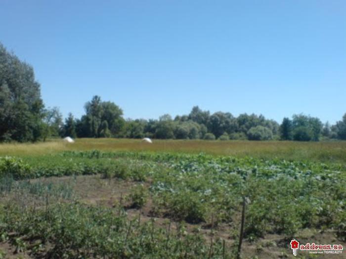 Дударків з інтернету - Дударків