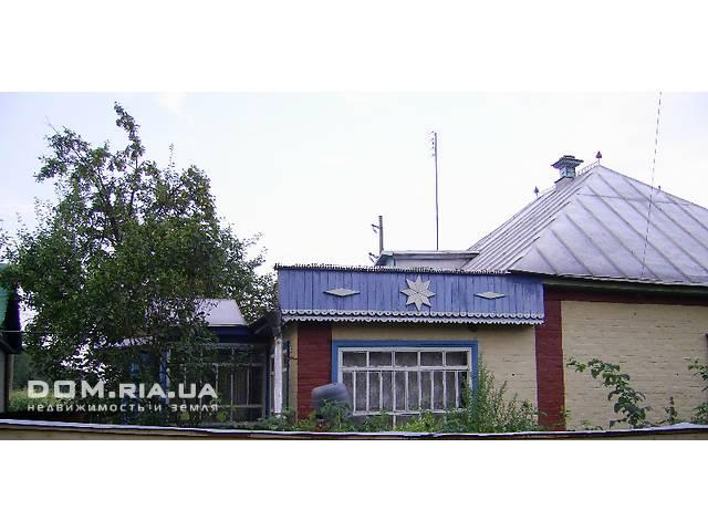 Галиця з інтернету - Галиця