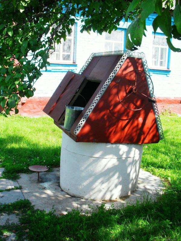 Галиця з інтернету - Галиця