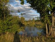 Куземин з інтернету