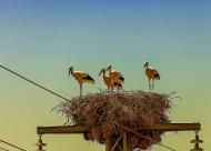 Природа края