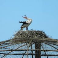 Природа края