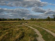 Куземин з інтернету