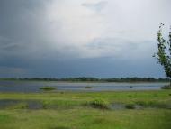 Дібрівське луг(розлив)