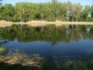 Куземин з інтернету