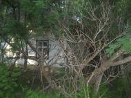 с.Китайгород