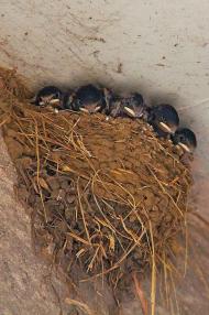 Природа края