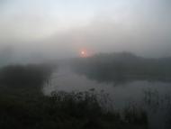 Куземин з інтернету