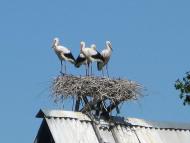 Природа края