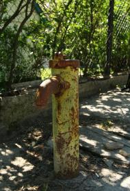 ПОКИНУТІ БУДІВЛІ ТА ПРИРОДА