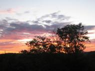 Куземин з інтернету