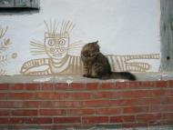 Куземин з інтернету