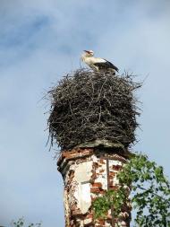 Природа края