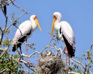 Природа края