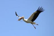 Природа края