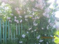 Поіздка вТовмач і х.Братський