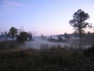 Куземин з інтернету