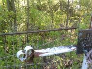 Погост с. Байдаково