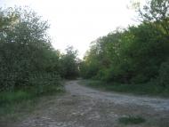 с.Китайгород