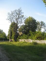 с.Китайгород