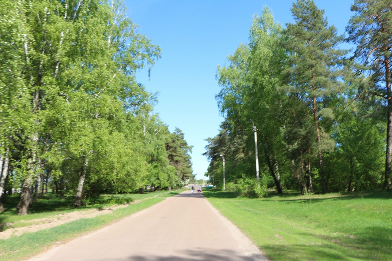 Разное - Загребелля