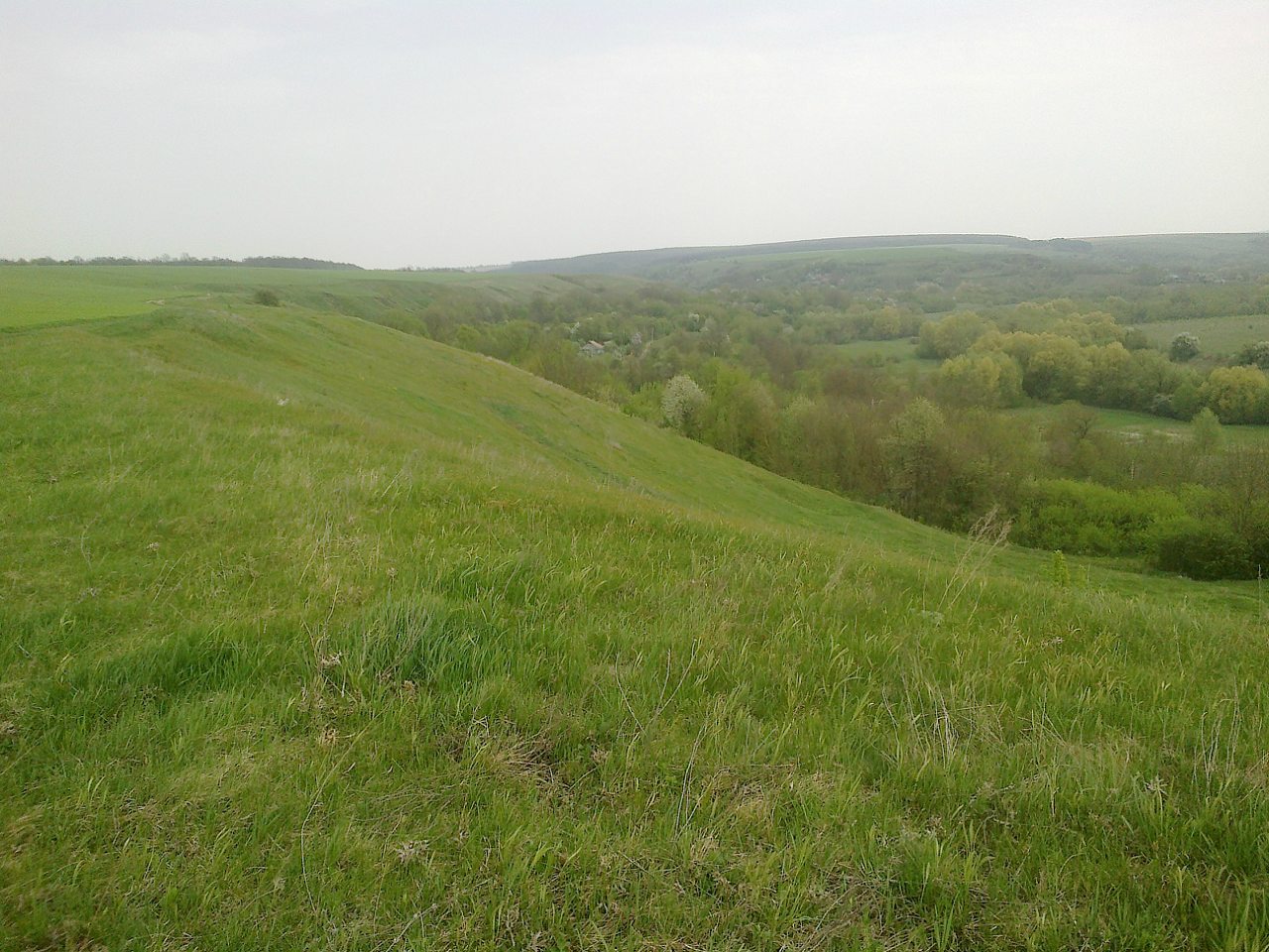 1 - Круті Броди