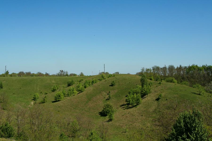 ПОКИНУТІ БУДІВЛІ ТА ПРИРОДА - Грищинцы