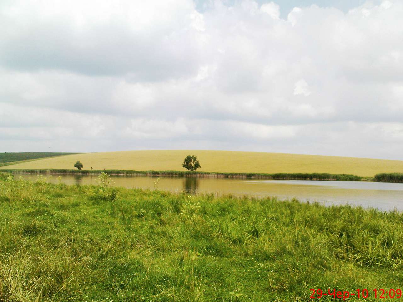 Лісниче - Лісниче