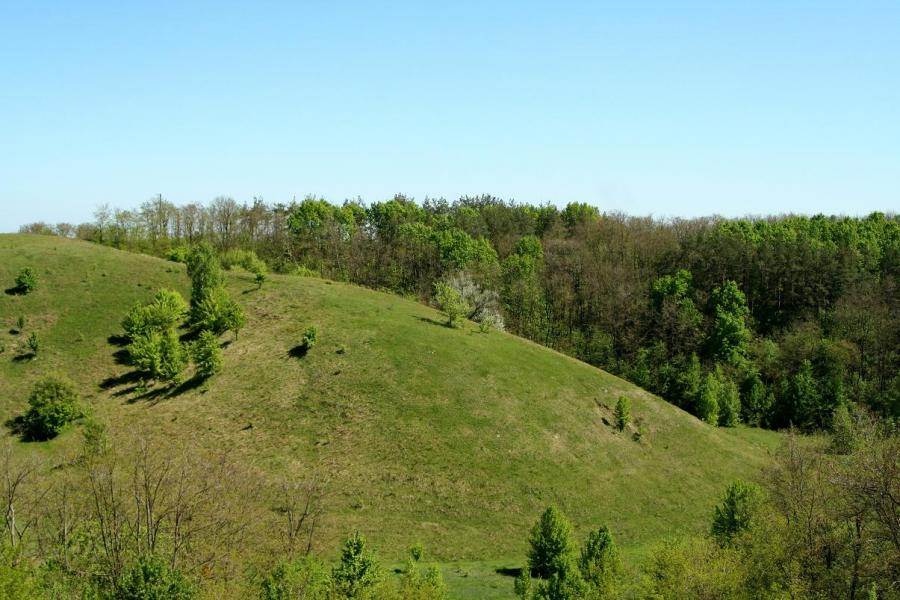 ПОКИНУТІ БУДІВЛІ ТА ПРИРОДА - Грищинцы