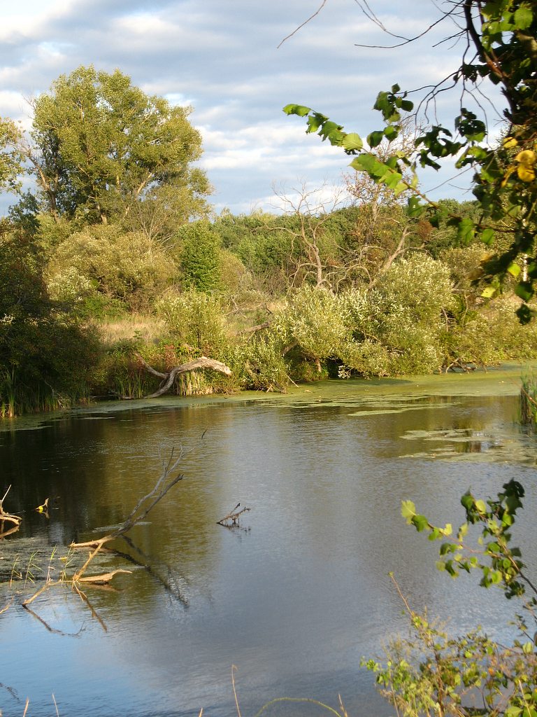 Куземин з інтернету - Куземин