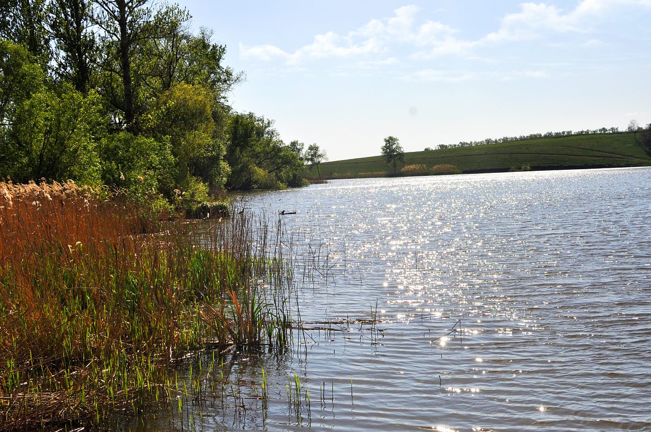 Стрілеча - Стрелечья