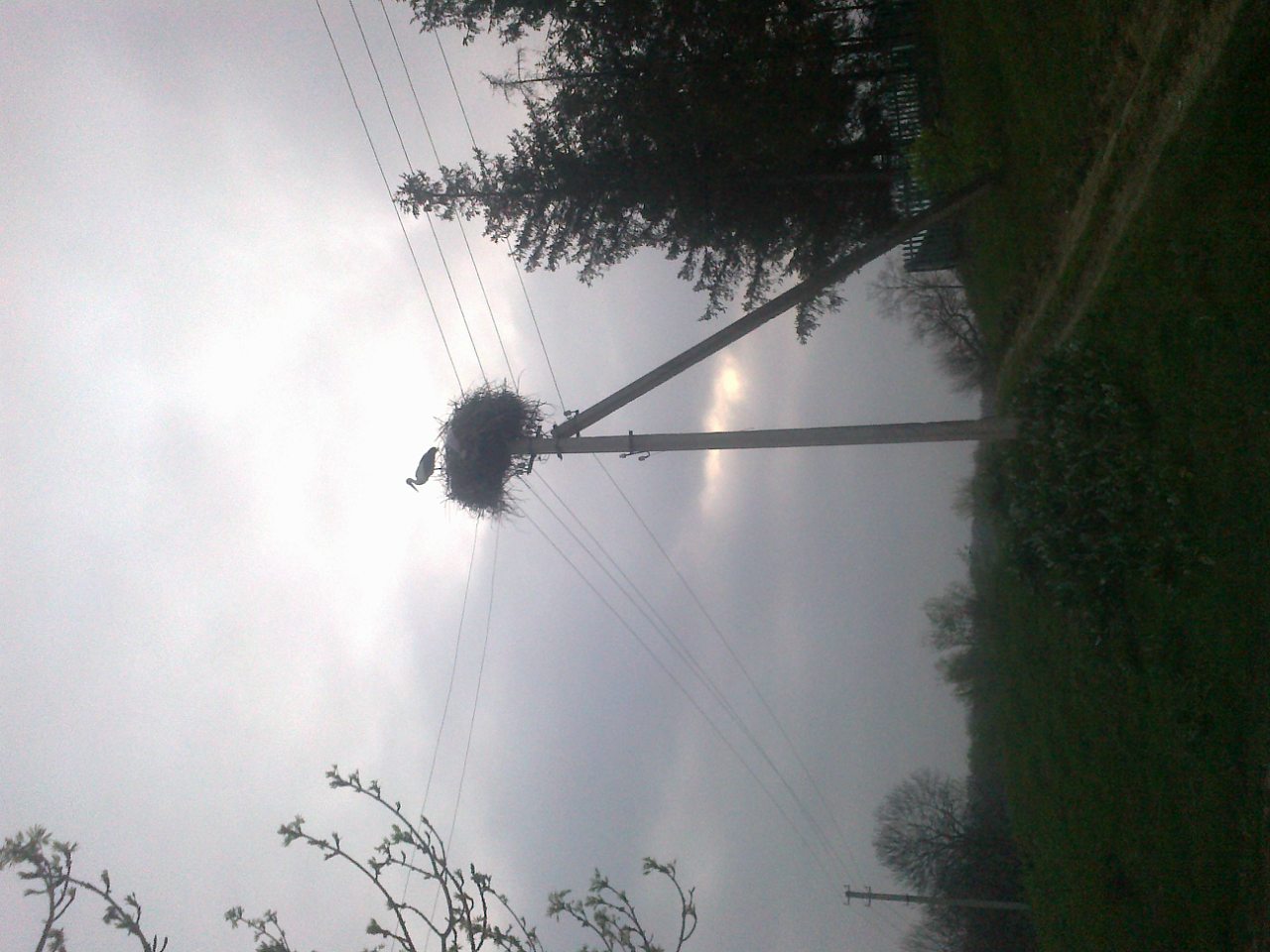 1 - Круті Броди