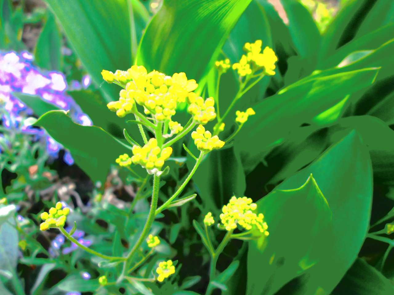 мостове - Мостове